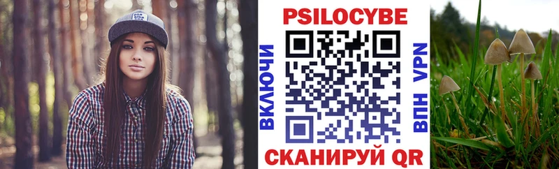 Галлюциногенные грибы прущие грибы  наркошоп  Берёзовка 